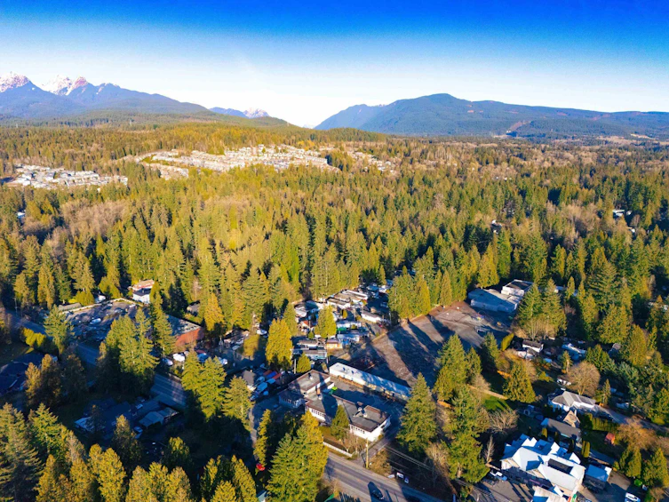 23206 Calvin Crescent, Maple Ridge, BC, V2X 4S3 - 27