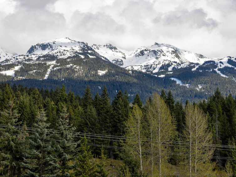 210-8080 Nicklaus North Boulevard, Whistler, BC, V8E 1J7 - 10