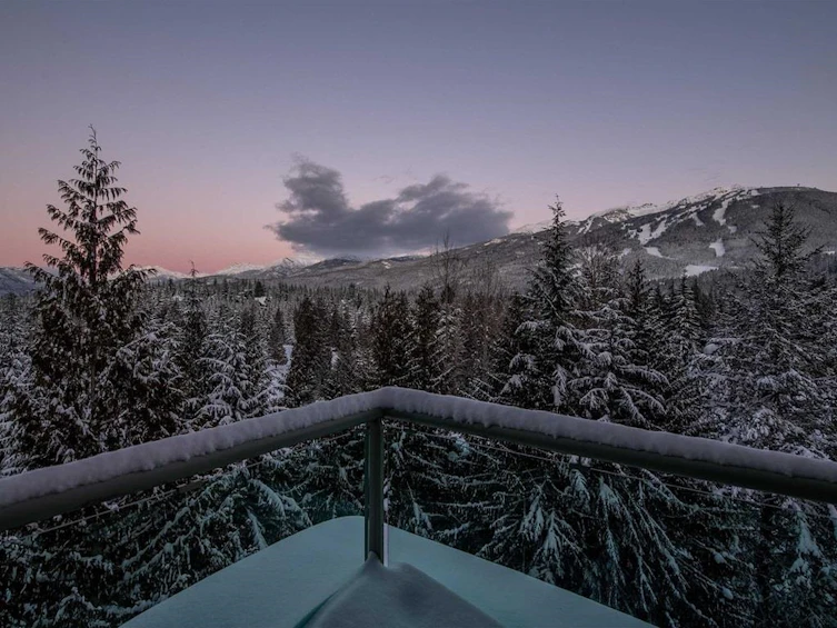 3359 Osprey Place, Whistler, BC, V8E 0B8 - 38