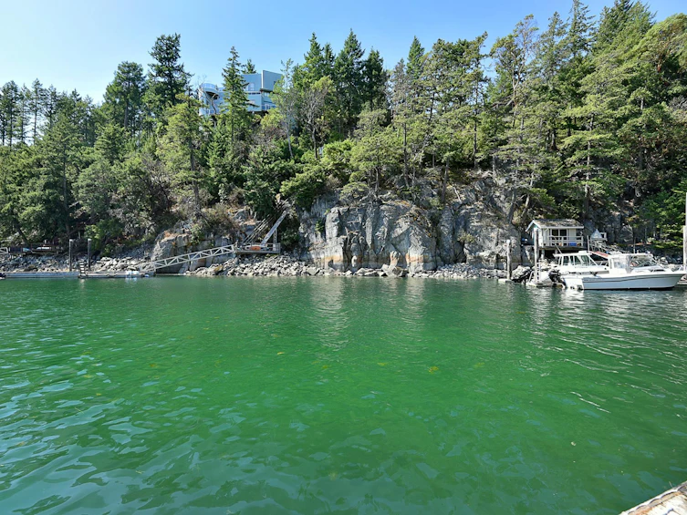 4776 Francis Peninsula Road, Pender Harbour Egmont, BC, V0N 2H1 - 35