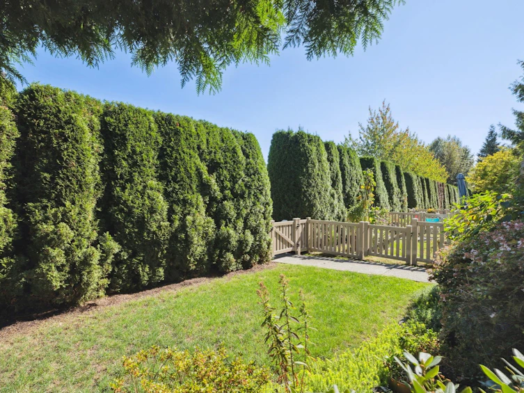 34-1260 Riverside Drive, Port Coquitlam, BC, V3B 8C7 - 38