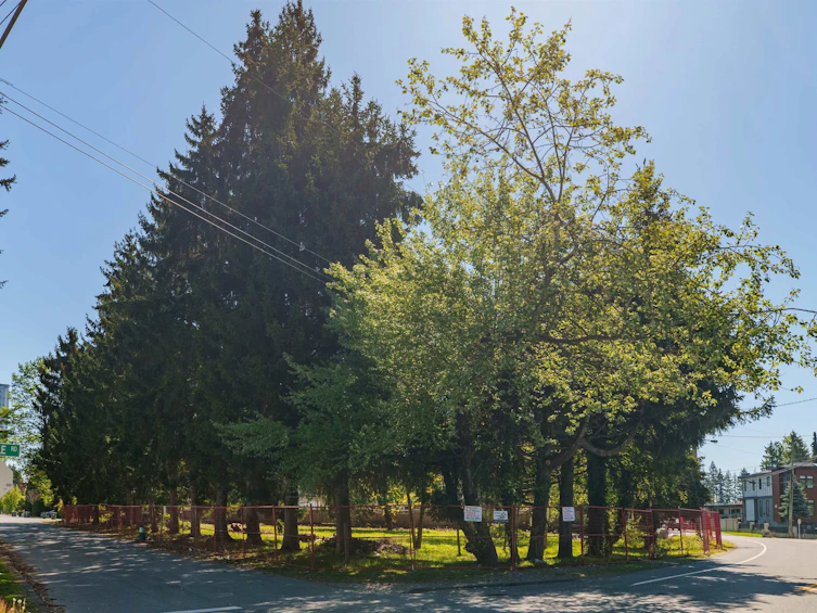 13003 Old Yale Road, Surrey, BC, V3T 3C3