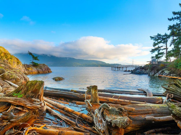 230 Moonwinks Drive, Bowen Island, BC, V0N 1G1 - 9