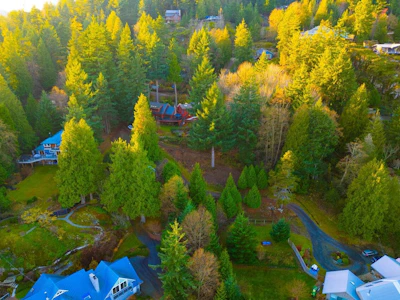 230 Moonwinks Drive - 2