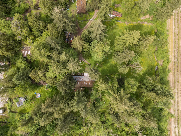3390 210 Street, Langley, BC, V2Z 2E5 - 21