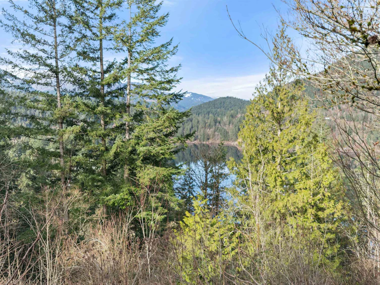 66176 Kawkawa Lake Road, Hope, BC, V0X 1L1