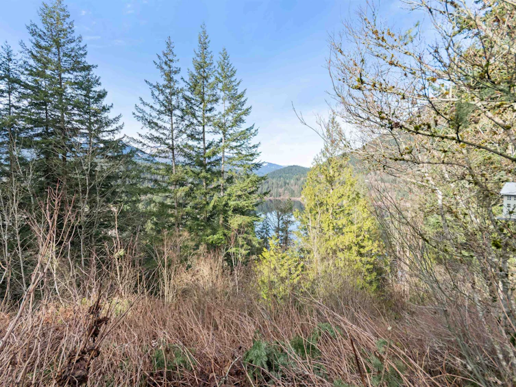 66176 Kawkawa Lake Road, Hope, BC, V0X 1L1 - 5