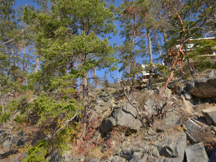 7643 Cove Beach Road, Halfmoon Bay, BC, V7Z 1C3 - 10