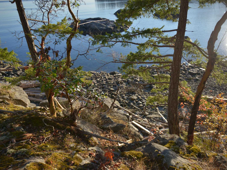7643 Cove Beach Road, Halfmoon Bay, BC, V7Z 1C3 - 19