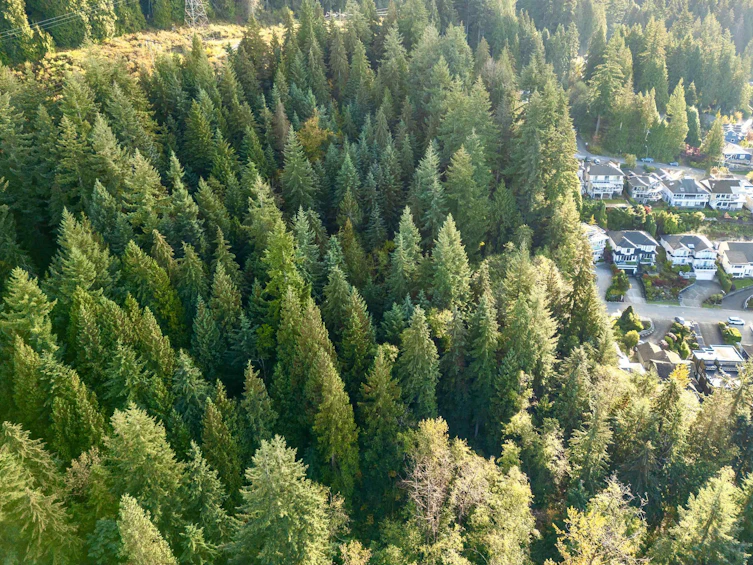 4500 St. Pauls Avenue Lot A, North Vancouver, BC - 4