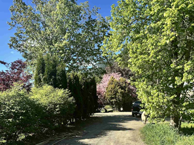 945 Erickson Road - 5