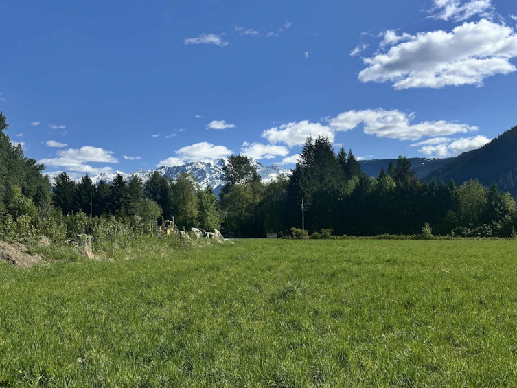 945 Erickson Road, Pemberton, BC, V0N 2L2 - 6