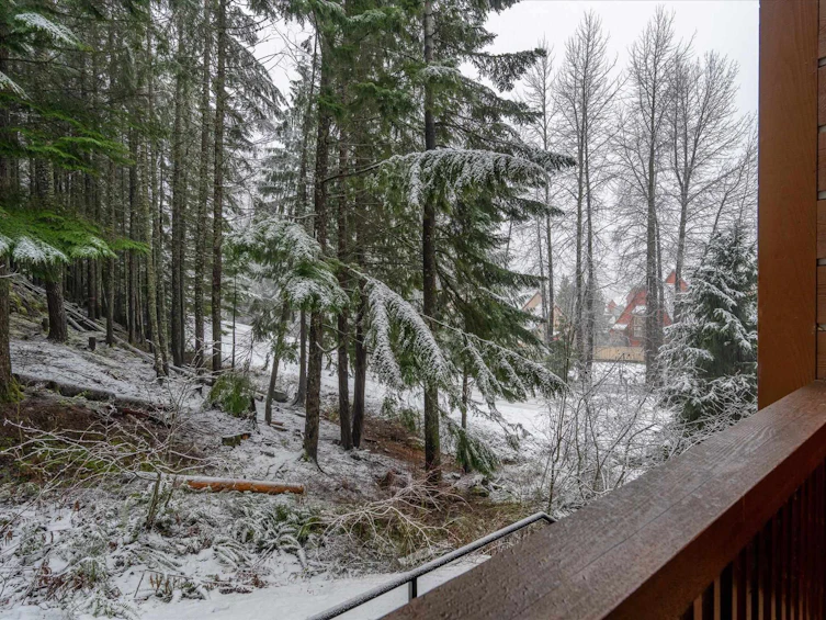 221-2202 Gondola Way, Whistler, BC, V8E 0M7 - 16