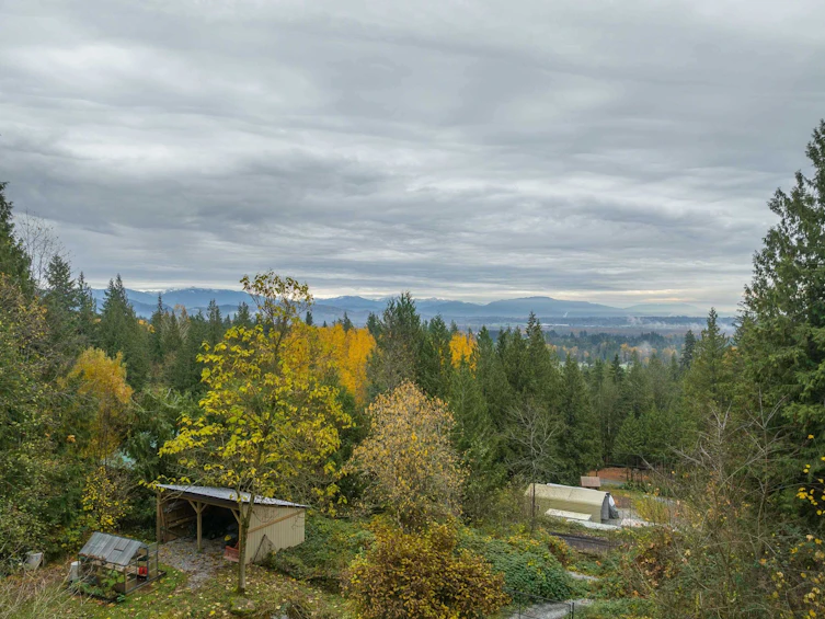 31730 Viewcrest Avenue, Mission, BC, V4S 1E7 - 36