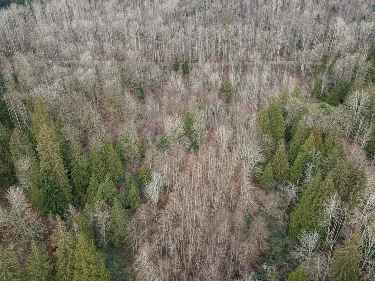 30990 Olson Avenue, Mission, BC, V4S 1E8 - 12