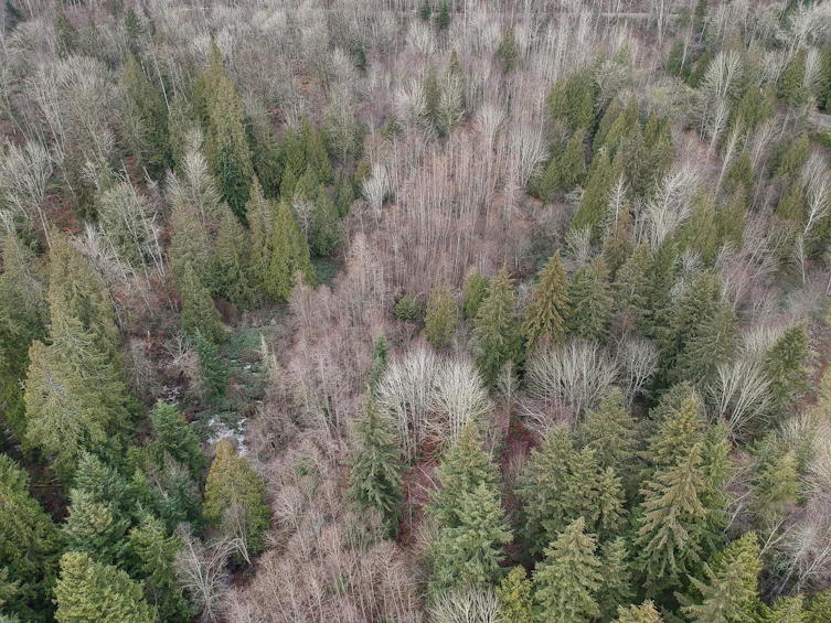 30990 Olson Avenue, Mission, BC, V4S 1E8 - 13