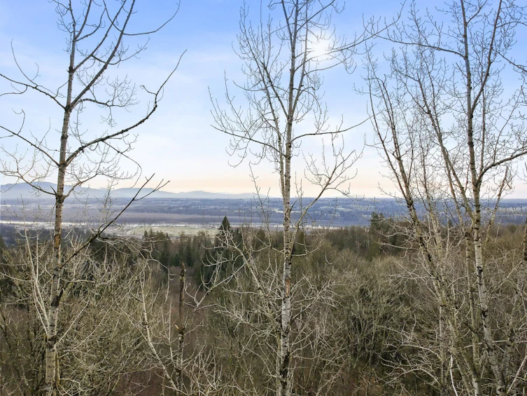 30990 Olson Avenue, Mission, BC, V4S 1E8 - 11