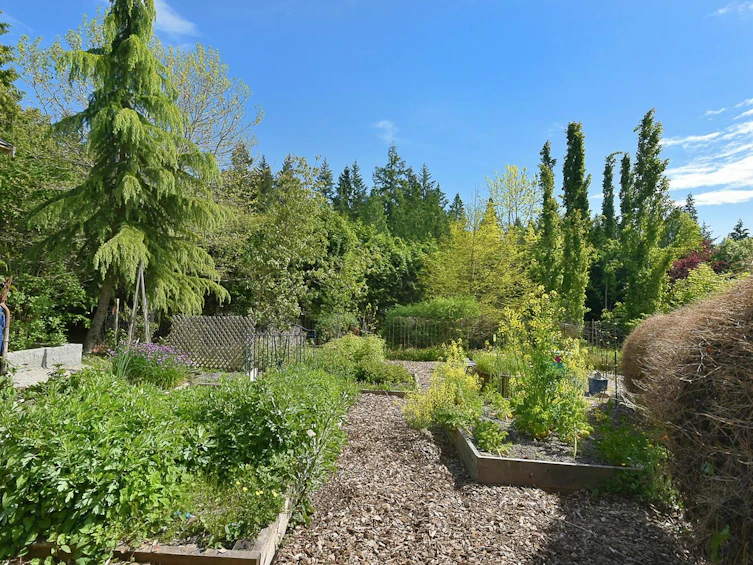 2855 Lacey Place, Roberts Creek, BC, V0N 2W4 - 31