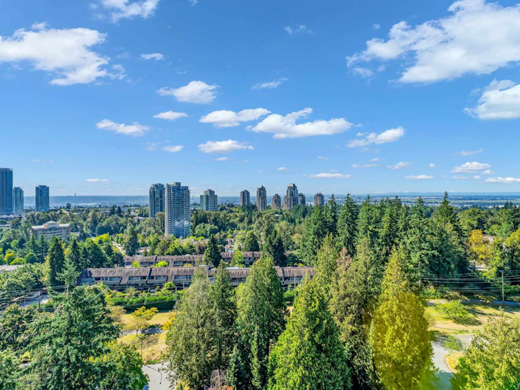 1608-7077 Beresford Street, Burnaby, BC, V5E 4J5 - 30