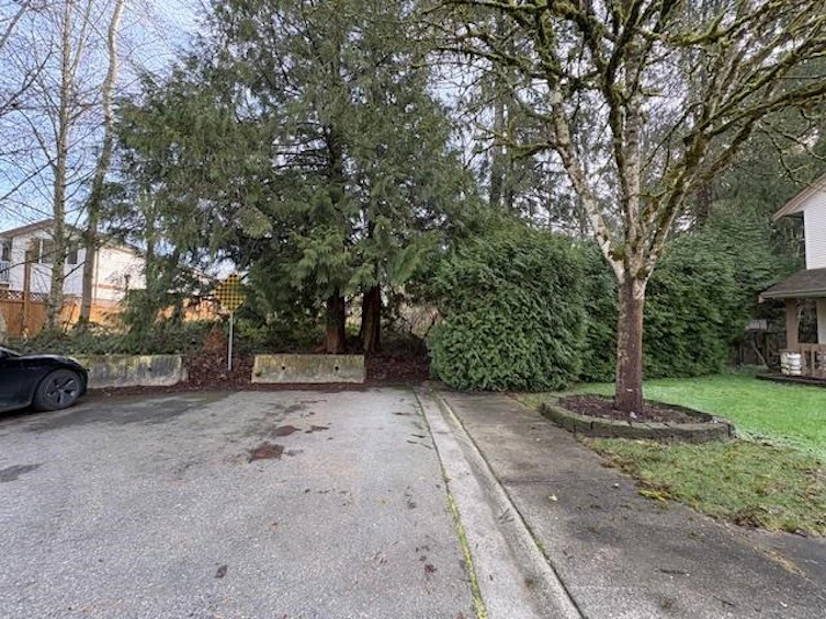 11673 240 Street, Maple Ridge, BC, V4R 1M6 - 7