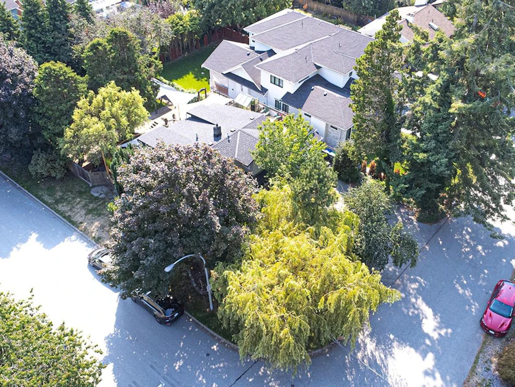 16124 9 Avenue, Surrey, BC, V4A 1A6 - 2