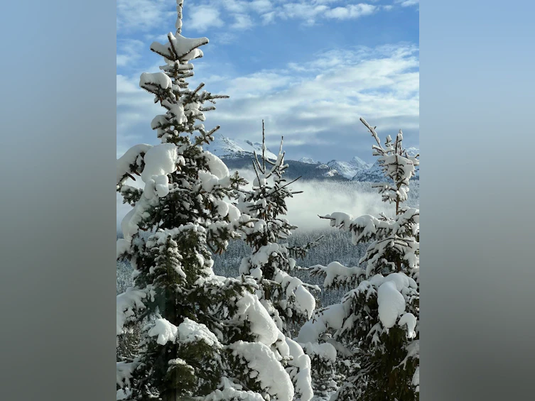 9331 Emerald Drive, Whistler, BC, V8E 0G5 - 33