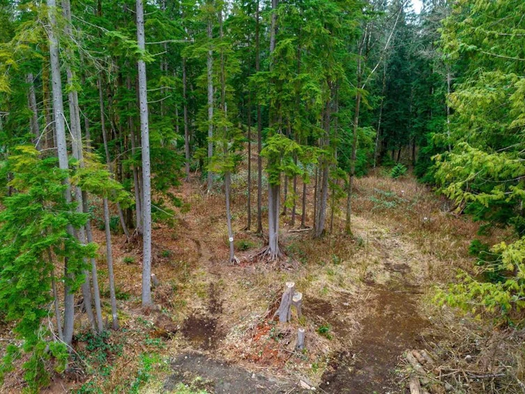 29809 Dewdney Trunk Road, Mission, BC, V4S 1B7 - 39