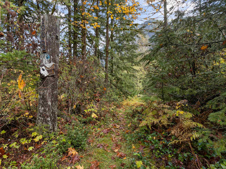 19602 Silver Skagit Road, Hope, BC, V0X 1L2 - 4