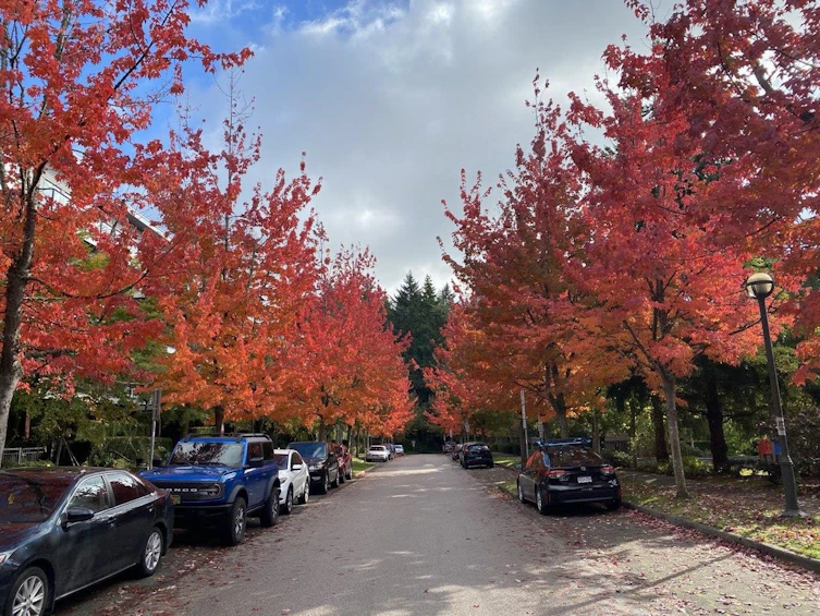 204-6333 Larkin Drive, Vancouver, BC, V6T 0A7 - 32