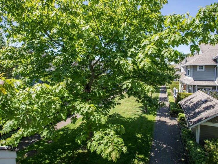 64-6300 London Road, Richmond, BC, V7E 6V6 - 29