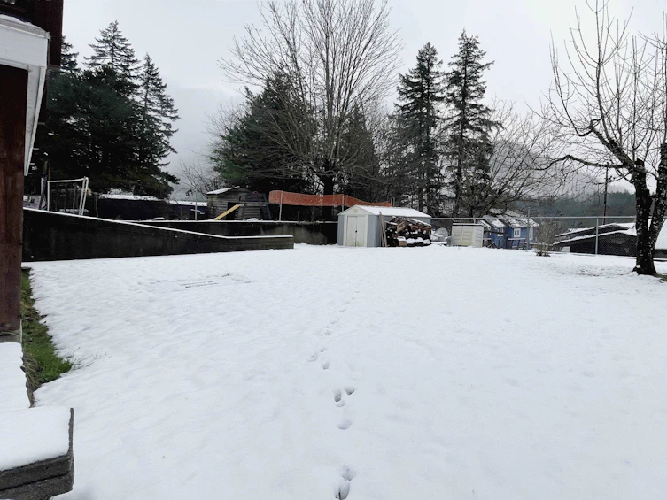31228 Bridge Street, Hope, BC, V0K 2S0 - 37