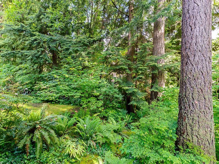 1174 Strathaven Drive, North Vancouver, BC, V7H 2Z6 - 30