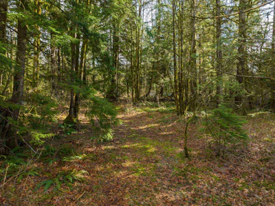 36161 Ridgeview Road - 3