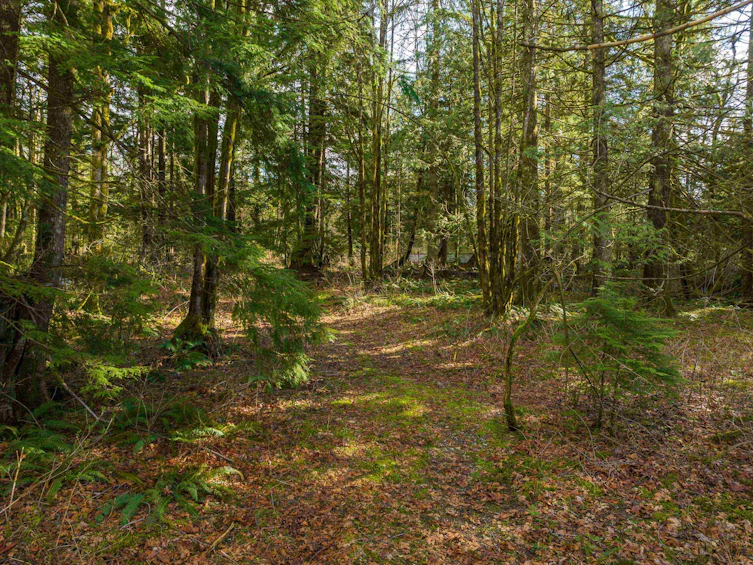 36161 Ridgeview Road, Mission, BC, V2V 0B9 - 9