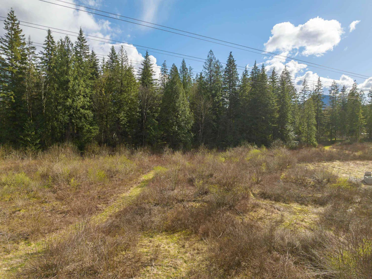 36161 Ridgeview Road, Mission, BC, V2V 0B9 - 13