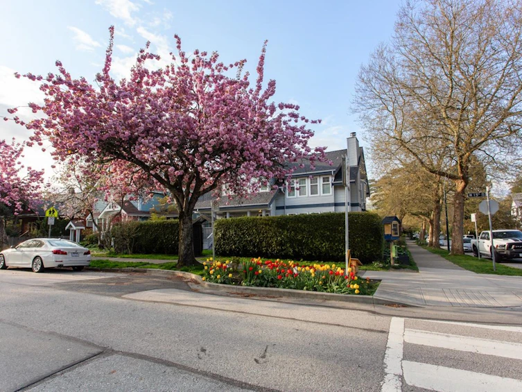103 W 15th Avenue, Vancouver, BC, V5Y 1X8 - 27