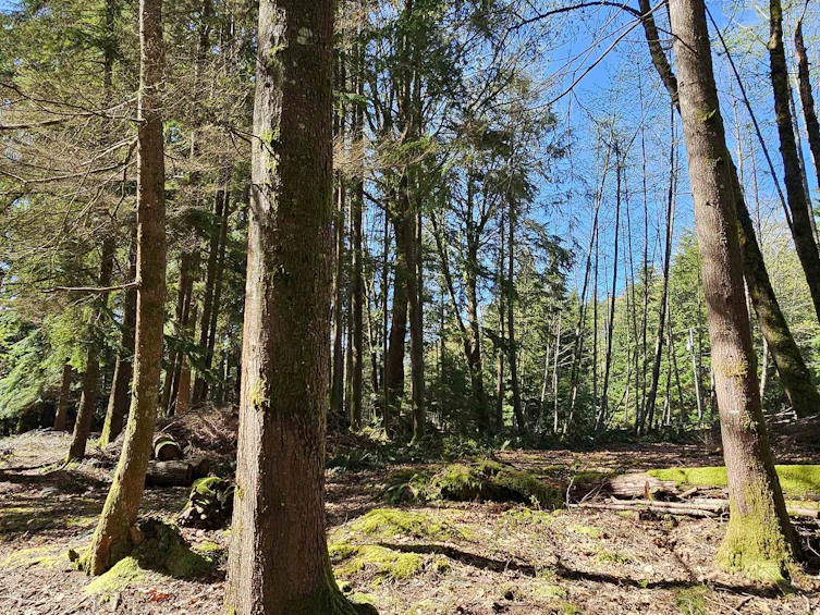 Lot 8 Mountain Road, Gambier Island, BC, V0N 1V0 - 10