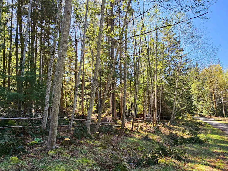 Lot 8 Mountain Road, Gambier Island, BC, V0N 1V0 - 14