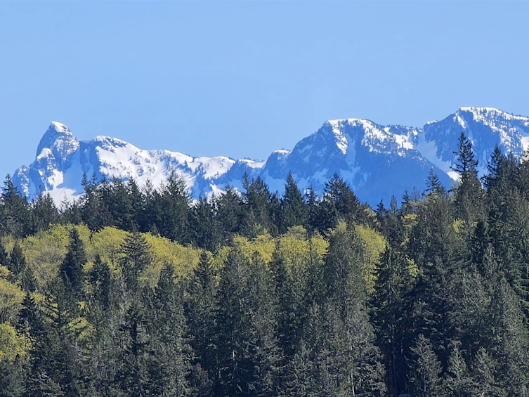 Lot 8 Mountain Road, Gambier Island, BC, V0N 1V0 - 22