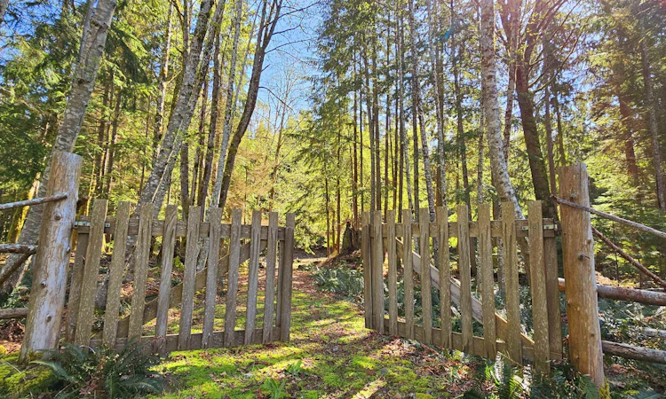 Lot 8 Mountain Road