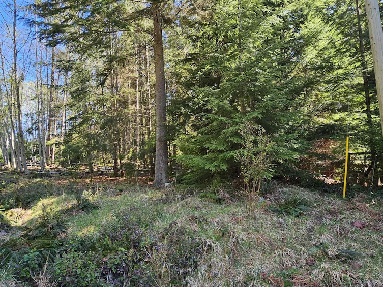 Lot 8 Mountain Road, Gambier Island, BC, V0N 1V0 - 13