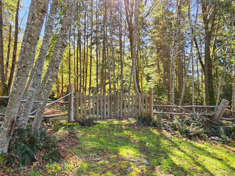 Lot 8 Mountain Road, Gambier Island, BC, V0N 1V0 - 7