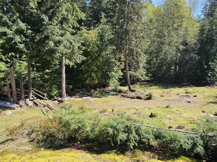 2236 Mountain Road, Gambier Island, BC, V0N 1V0 - 39