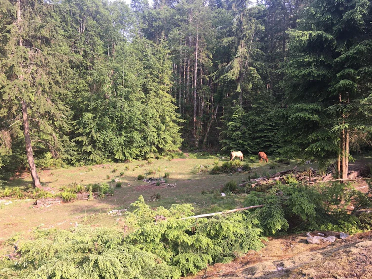 2236 Mountain Road, Gambier Island, BC, V0N 1V0 - 21