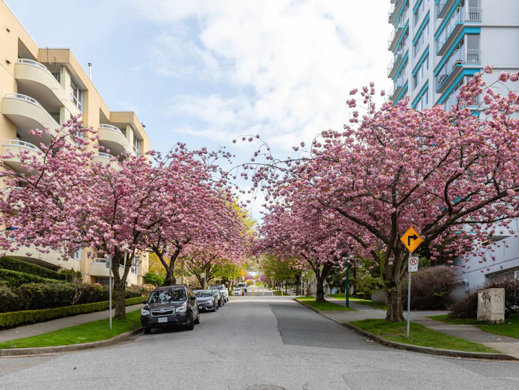 401-1406 Harwood Street, Vancouver, BC, V6G 1X5 - 25