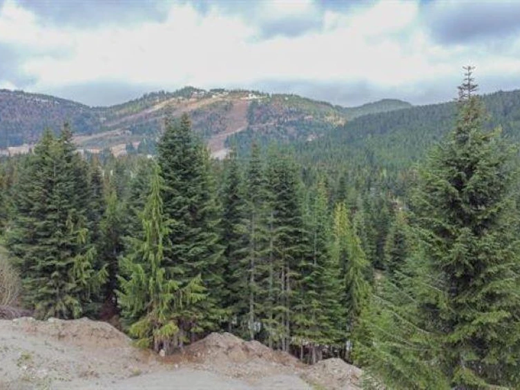 20488 Edelweiss Drive, Mission, BC, V0M 1A1 - 8