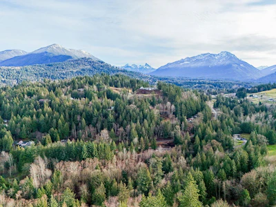 6183 Ryder Lake Road - 5