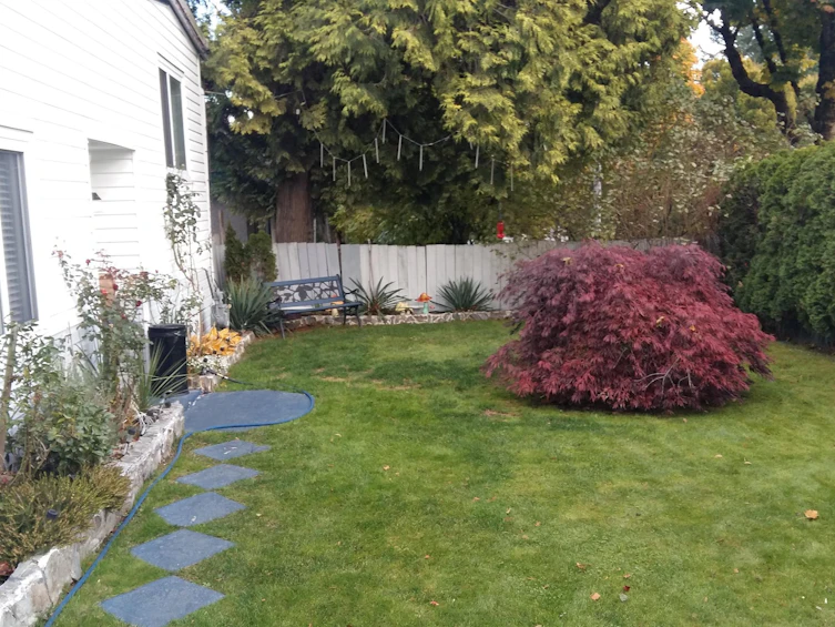 12905 104 Avenue, Surrey, BC, V3T 1T6 - 6