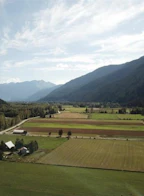 8687 Pemberton Meadows