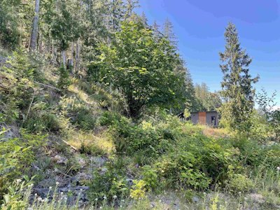 5232 Cecil Hill Road - 5